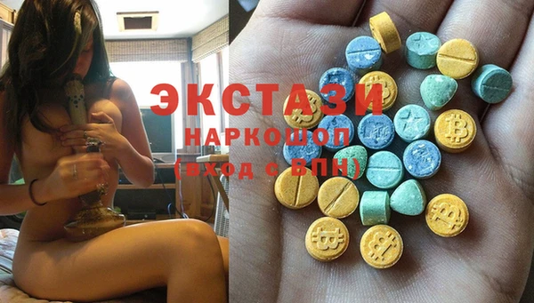 ECSTASY Няндома