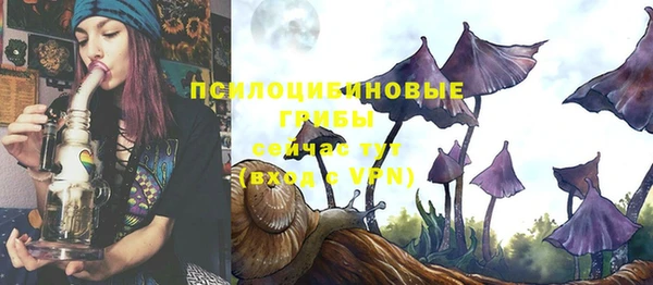 ГАЛЛЮЦИНОГЕННЫЕ ГРИБЫ Горнозаводск