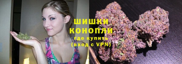 ешки Новозыбков