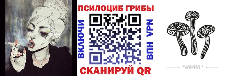 закладки  Энгельс  Псилоцибиновые грибы Cubensis 