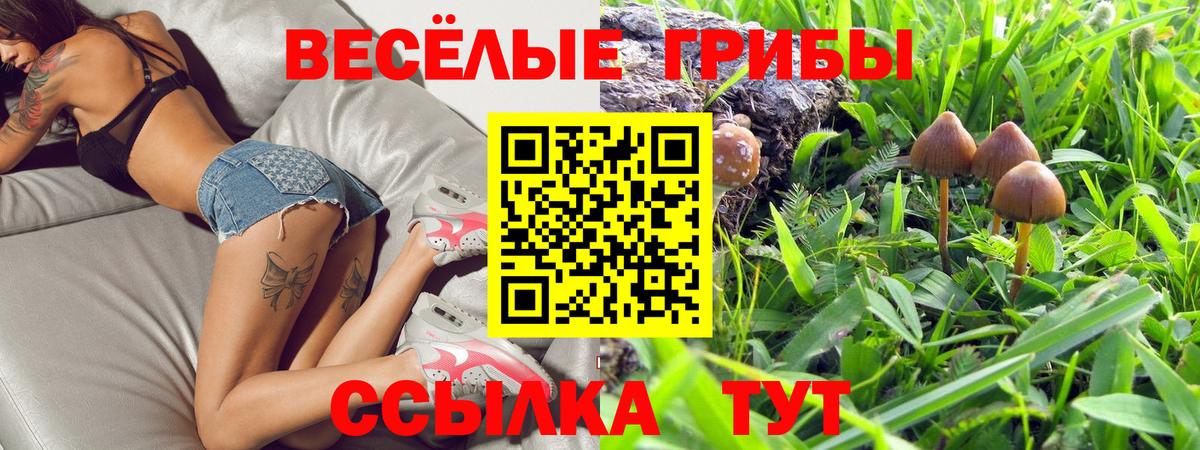 Псилоцибиновые грибы Cubensis Энгельс